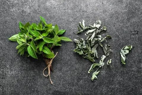 تصویر 1 از قیمت و فروش عمده نعنا خشک + خرید ارزان